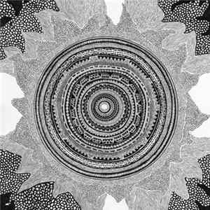Pink Frost - The Sun / You Should Know flac
