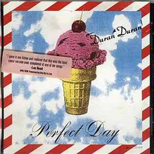 Duran Duran - Perfect Day flac