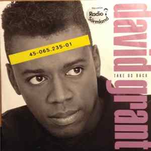 David Grant - Take Us Back flac