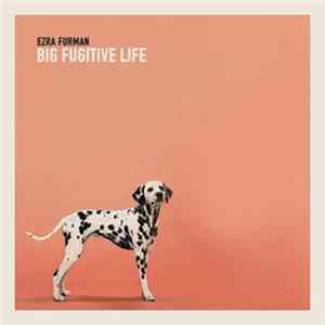 Ezra Furman - Big Fugitive Life flac