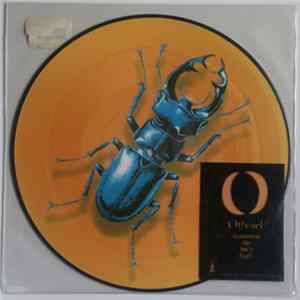 Flugschädel - Othniel flac