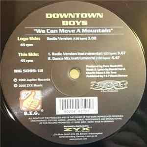Downtown Boys - We Can Move A Mountain flac