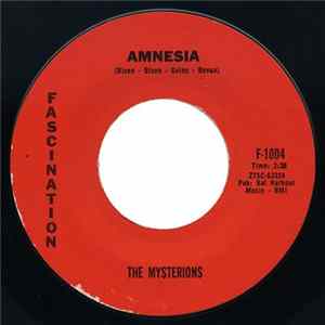 The Mysterions - Amnesia / Transylvania flac
