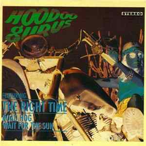 Hoodoo Gurus - The Right Time flac