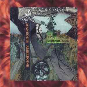 The Interstellar Cementmixers - Manequin Ambergine flac
