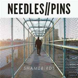 Needles//Pins - Shamebirds flac