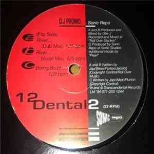Sonic Repo - River flac