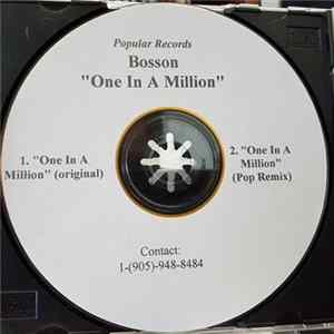 Bosson - One In A Million flac