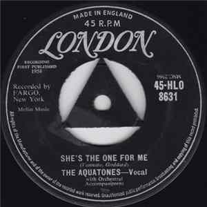 The Aquatones - She's The One For Me flac