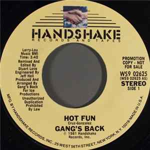 Gang's Back - Hot Fun flac
