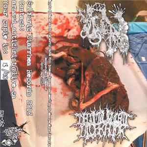 MxIxIxTxAxVxWxIxSxRxIxMxMxOx / Decompurulent Ulcerator - Split Tape 2018 flac