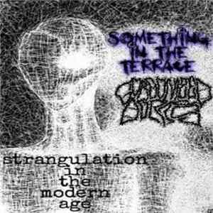 Something In The Terrace / Gorgonized Dorks - Strangulation In The Modern Age flac