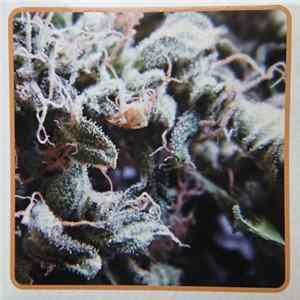 Dope Smoker - Legalize It flac