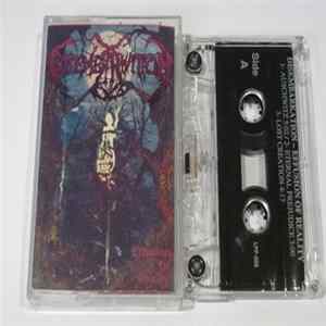 Disembarkation - Effusion Of Reality flac