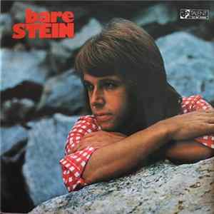 Stein Ingebrigtsen - Bare Stein flac