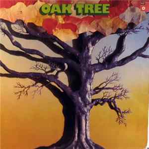 Studiker - Oak Tree flac