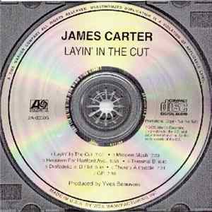 James Carter - Layin' In The Cut flac