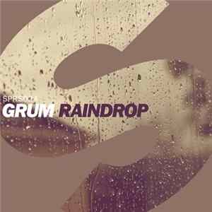 Grum - Raindrop flac