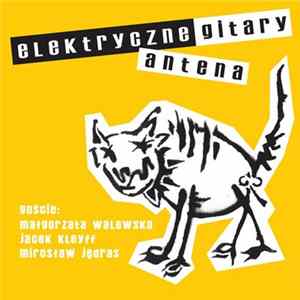 Elektryczne Gitary - Antena flac