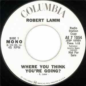 Robert Lamm - Where You Think You're Going? flac