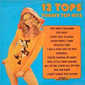 Unknown Artist - 12 Tops - Volume 24 flac