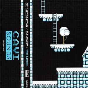 Various - Ice Level flac