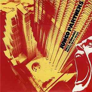 Junco Partners - Tall Windows flac