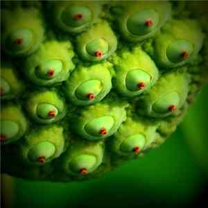 Merzlux - Trypophobia 3 flac