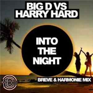 Big D Vs Harry Hard - Into The Night (Breve & Harmonie Mix) flac