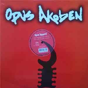 Opus Akoben - Vibe & Emotion flac