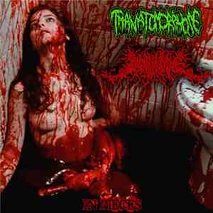 Thanatomorphose / Deathgore - In Pieces flac