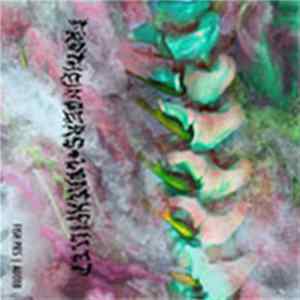 Loachfillet / Froth Fingers - Split Cassette flac