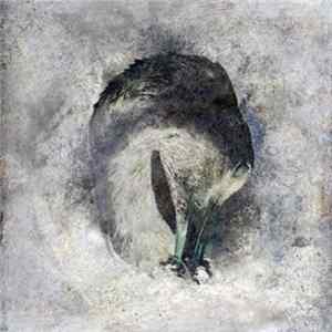 Suma - Ashes flac