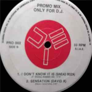 Various - Promo Mix 2 flac
