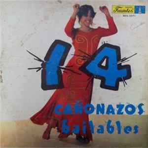 Various - 14 Cañonazos Bailables Vol. 17 flac