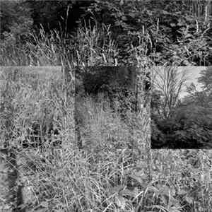 Wirephobia - ቀጥታ flac