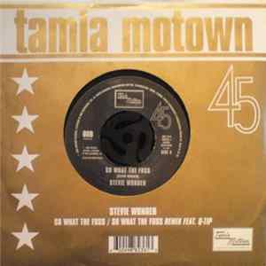 Stevie Wonder - So What The Fuss flac