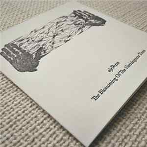 øjeRum - The Blossoming Of The Nothingness Trees flac
