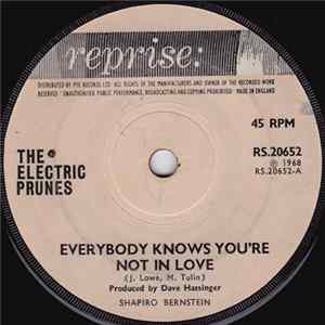 The Electric Prunes - Everybody Knows You're Not In Love flac