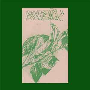 Rainforest Spiritual Enslavement - Fallen Leaves Camouflaged Behind Tropical Flowers flac