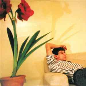 Lambchop - Rainer On My Parade flac
