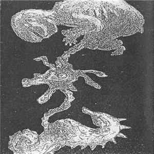 DTA - Xenomorph flac