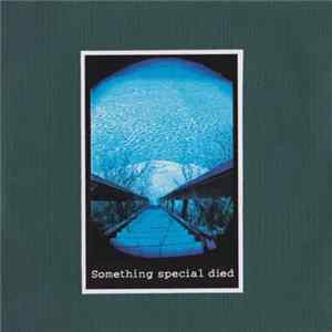 Something Special Died - Something Special Died flac