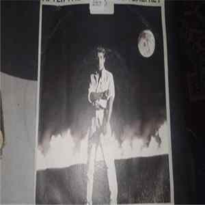 Roger Daltrey - After The Fire flac