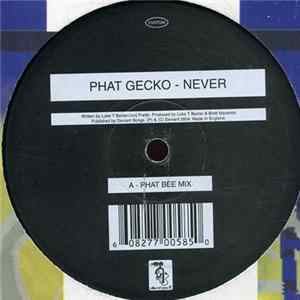 Phat Gecko - Never flac