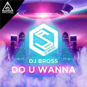 DJ Bross - Do U Wanna flac