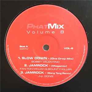 Various - Phatmix Volume 8 flac