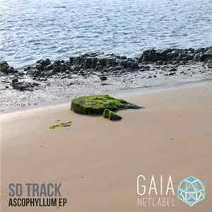 So Track - Ascophyllum EP flac