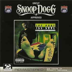 Ice Cube - Death Certificate flac