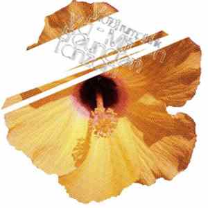 Various - Mit Freunden Tanzen flac